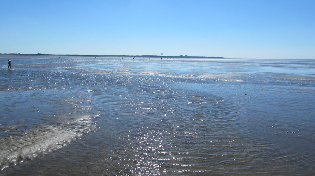 Das Watt vor Cuxhaven darf auf keinen Fall zur Müllkippe für Hamburger Hafenschlick werden, sagt Cuxhavens Oberbürgermeister. Foto: Sassen