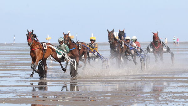Das Duhner Wattrennen begeistert 12.000 Zuschauer: Spannung pur bis zur Ziellinie