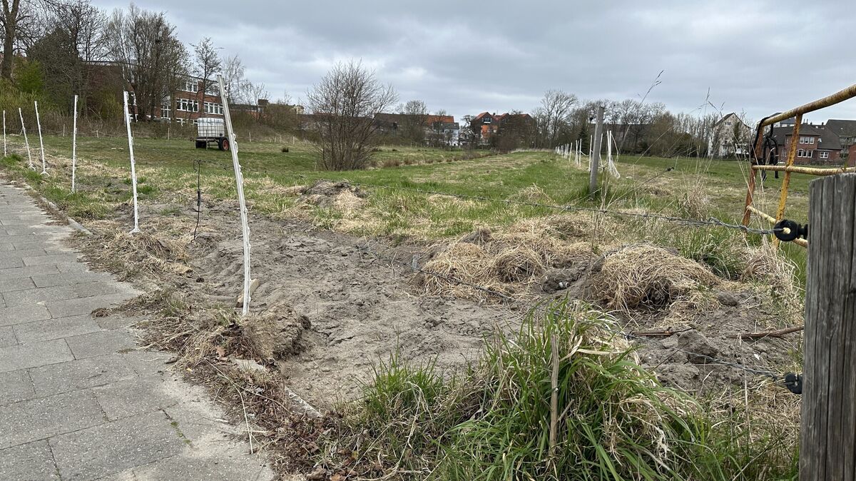 Das künftige Baugebiet „Schule am Meer“ in Döse: Hier entsteht die neue Schule des Landkreises – samt umstrittener Querspange und möglicher Nahversorgerfläche. Foto: Reese-Winne