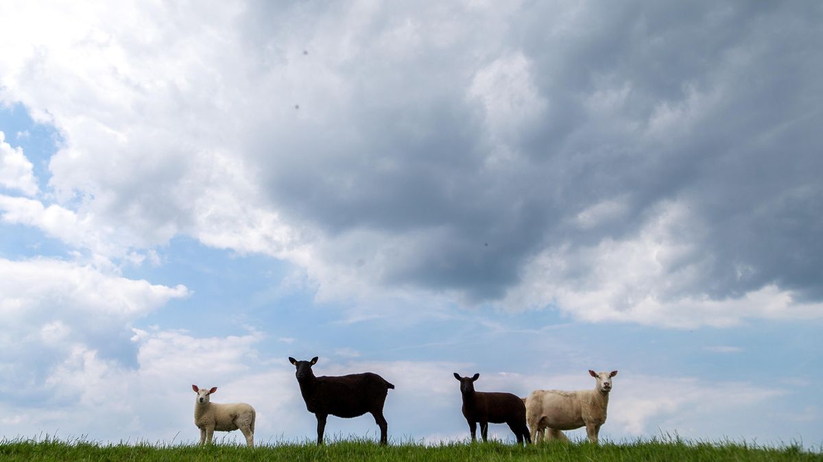 Im Kreis Cuxhaven wird es am Osterwochenende wechselhaft. Symbolfoto: Assanimoghaddam