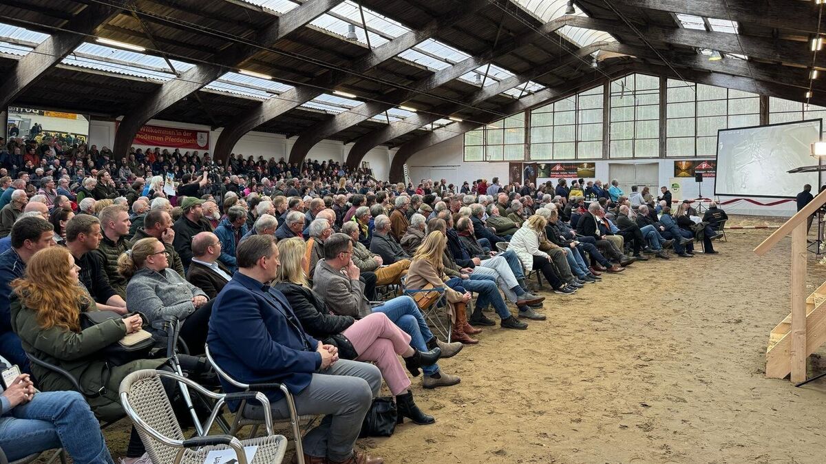 Die Besucher der Diskussion schauen gespannt auf die Leinwand. Zu sehen: Ein Video, das zeigt, wie Wölfe durch Zäune kommen, Nutztiere jagen und reißen. Foto: Keck