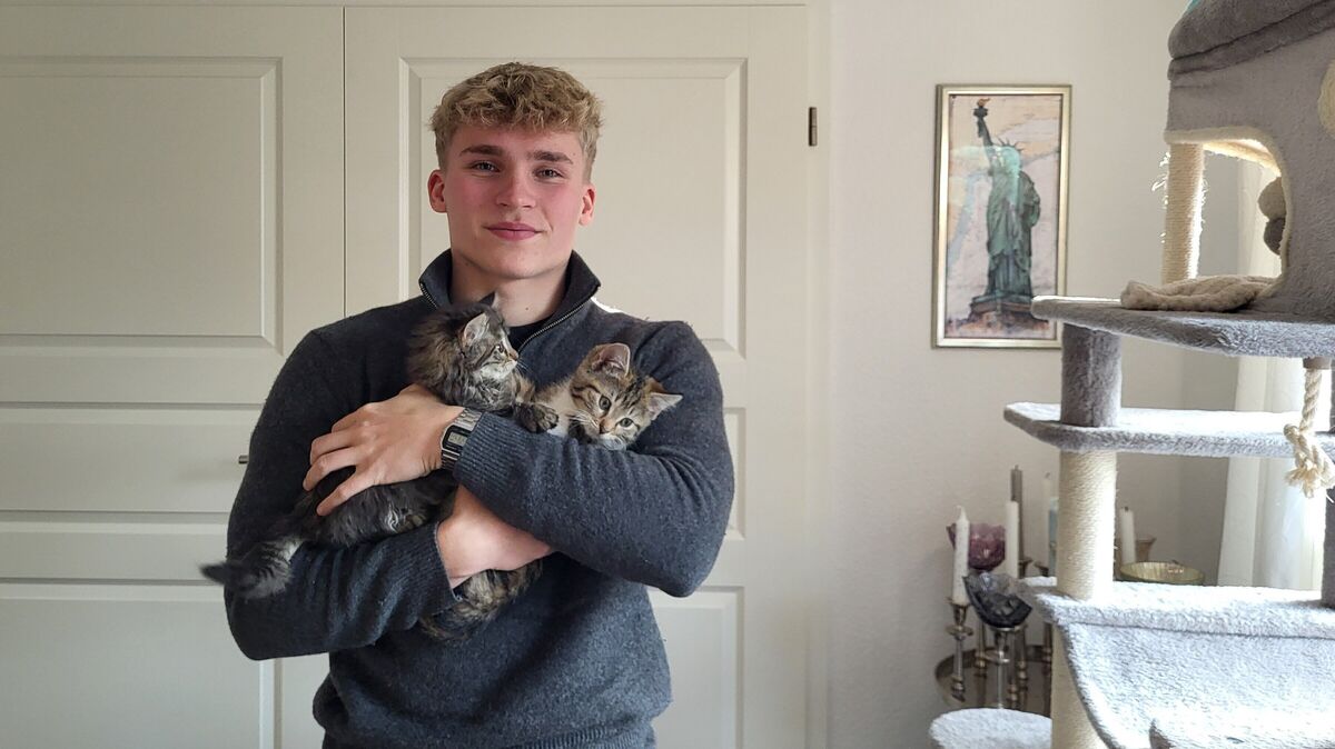 Nils Tetzlaff erhält den deutschen Tierschutzpreis in der Kategorie "Nachwuchs". Im Arm hat er die zwei Katzen, die seine Familie gerade pflegt. Foto: Märthe Werder