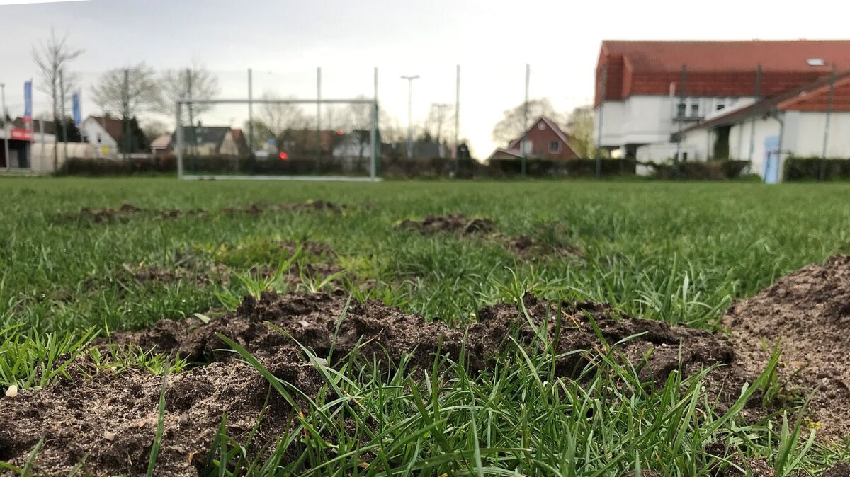 Noch ist es ein holpriger Bolzplatz, im nächsten Jahr soll die Grünfläche zwischen Sportplatz und dem ehemaligen Aldi-Markt in Otterndorf zu einem Kunstrasenplatz werden. Foto: Unruh