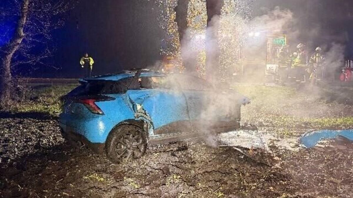 Im Frontbereich des Wagens bricht nach der Kollision mit dem Baum ein Feuer aus. Foto: Polizei