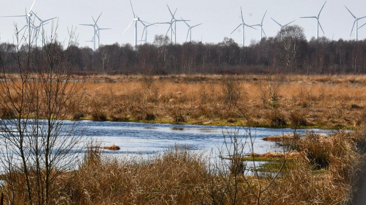 Moore - so wie hier zwischen Ahlenfalkenberg und Krempel - prägen das Landschaftsbild in einigen Regionen des Cuxlandes. Wenig begeistert sind die Landvolkverbände jedoch von den aktuellen "Palu"-Plänen. Archivfoto: Schröder
