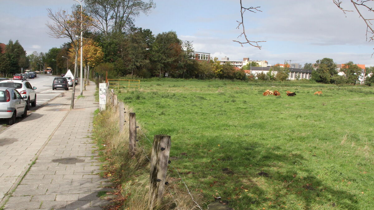 Nach und nach werden die Weichen für den Neubau der Schule am Meer in Döse gestellt. Foto: Reese-Winne