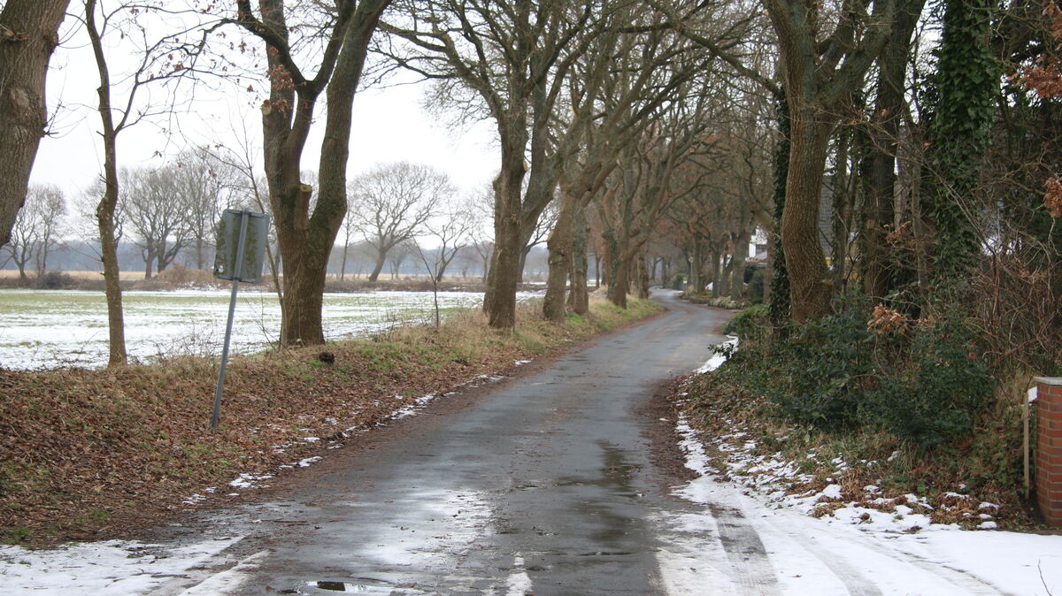 Auf der Fahrradstraße Butendieksweg fehlen im Bereich ab der Ecke Am Pennworthmoor bis zur Kreuzung Witthöhn-Nord Straßenlaternen. Die SPD-Fraktion im Sahlenburger Ortsrat sieht dadruch die Sicherheit besonders von Fußgängern gefährdet. Foto: Potschka