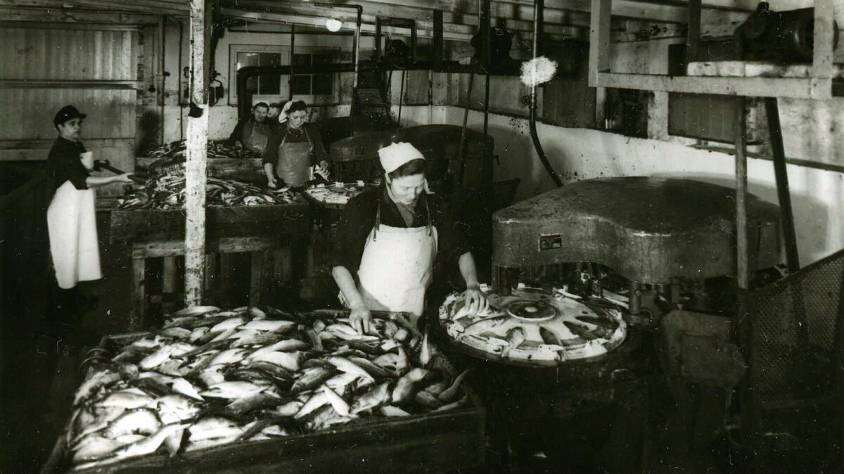 Die Fotos für die Werbebroschüre der Cuxhavener Fischfirma Baruth & Clasen entstanden in den 1950er-Jahren. Foto: Stadtarchiv Cuxhaven