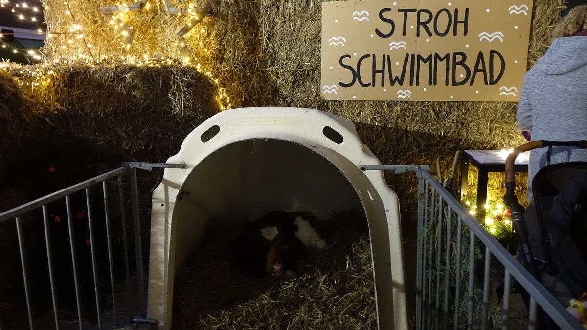 Auf einem Hof im Köstersweg turnten die Kinder im "Stroh-Schwimmbad". Foto: Grell