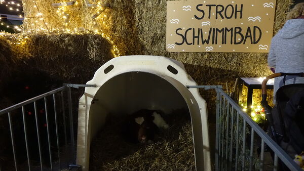 Mit dieser Aktion unterstützen Landwirte aus Hadeln verschiedene Institutionen