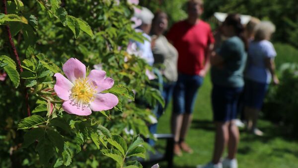 Ein Dorf, ein Garten, viele Gäste: Odisheim begeistert mit Gartenmarkt