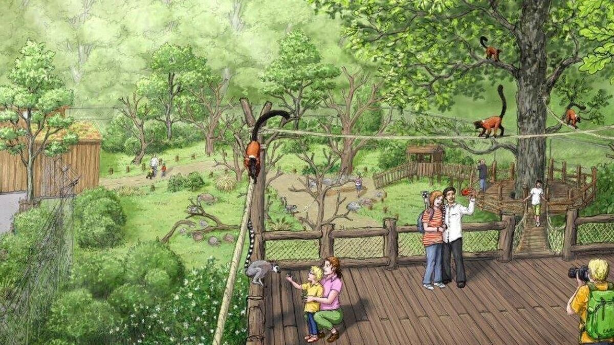 So könnte der Lemuren-Wald schon bald im Wingster Zoo aussehen. Zeichnung: Waldzoo