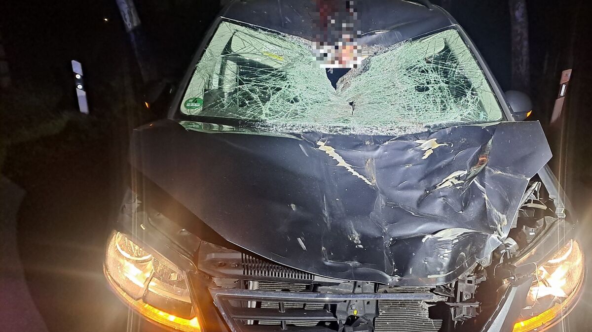 Nach dem Zusammenstoß mit einem Pferd musste die L124 bei Ahlerstedt (Kreis Stade) für mehrere Stunden voll gesperrt werden. Foto: Polizei Stade