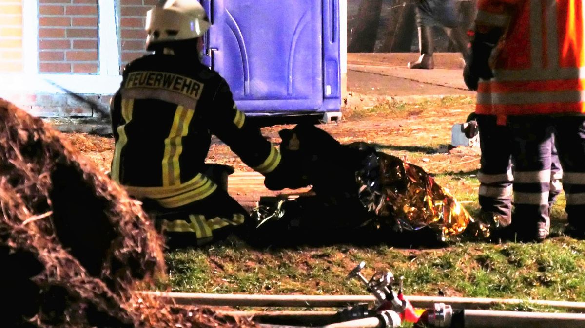 Dieses Kalb wurde aus den Flammen gerettet und erlitt eine Rauchvergiftung. Es wurde von zwei Feuerwehrleuten bis zum Eintreffen eines Tierarztes betreut. Foto: Lange