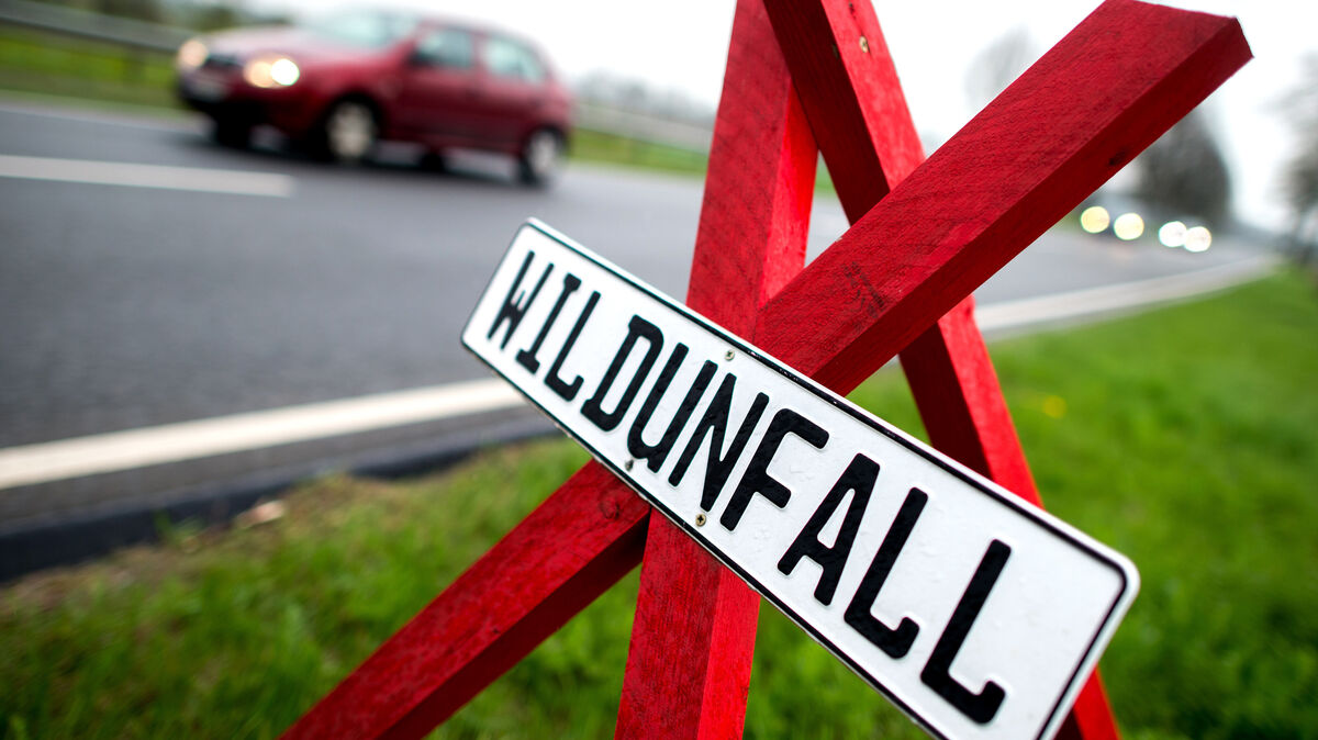 Auf der A27 Richtung Cuxhaven kam es zum Zusammenstoß mit einem Reh. Symbolfoto: Dittrich/dpa