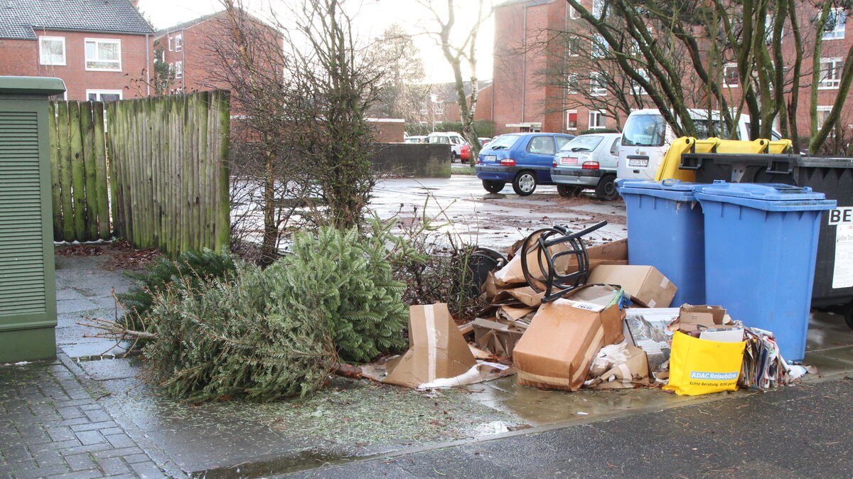 Die Reste der Feiertage lagern zwischen den Müllcontainern an der Ecke John-Brinckman-Weg/Matthias-Claudius-Weg. Aber auch sonst sind die Mieter nicht sehr zufrieden mit ihrem Umfeld. Foto: Reese-Winne