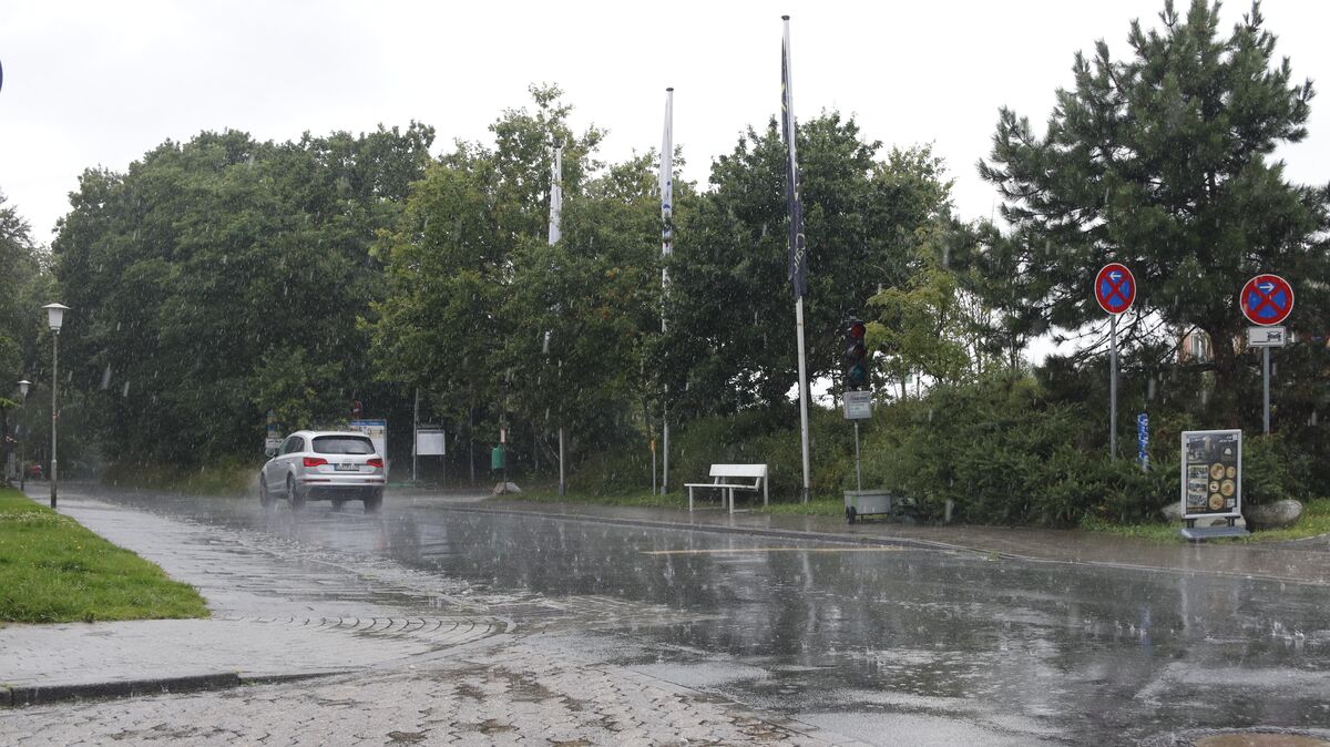 Ein begrünter Wall trennt die Fahrbahn des Wehrbergswegs vom "ahoi!": Ihn zu beschneiden, um mehr Platz für Autos zu schaffen, steht nach offiziellen Angaben nicht zur Debatte. Foto: Koppe