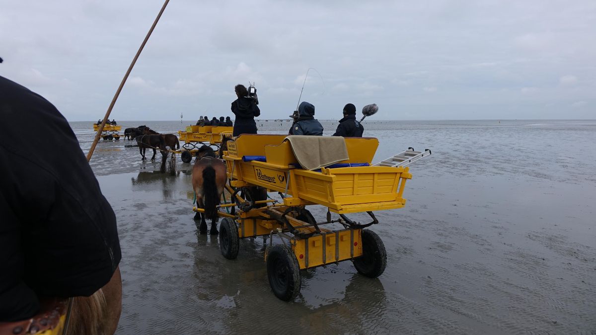 Erst kürzlich war das Duhner Loch Schauplatz eines Protests der Wattwagenfahrer. Jetzt will das Land reagieren. Foto: Anders