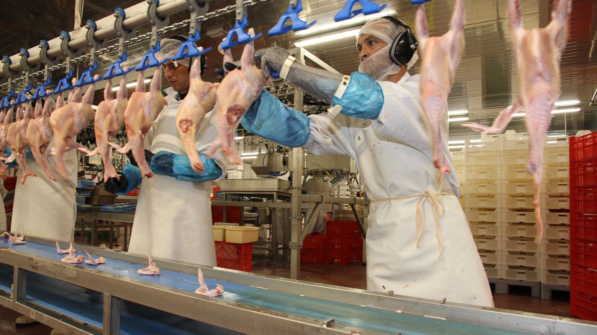 Auch die Mitarbeiter am Standort Altenwalde behalten ihre Arbeitsplätze bei der Geti Wilba GmbH. Foto: Sassen