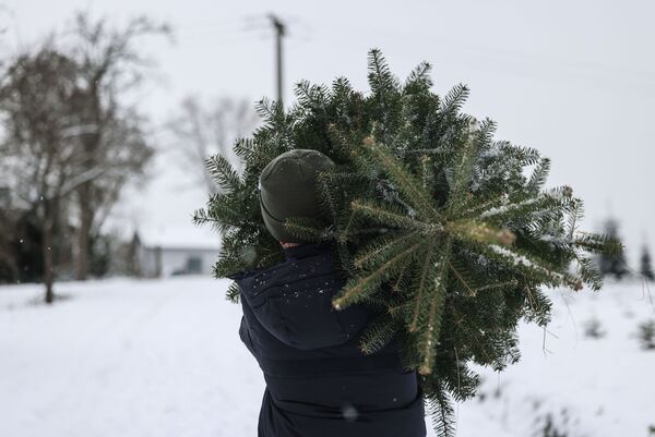 Diebe wollen Tannenbaum von Weihnachtsmarkt stehlen