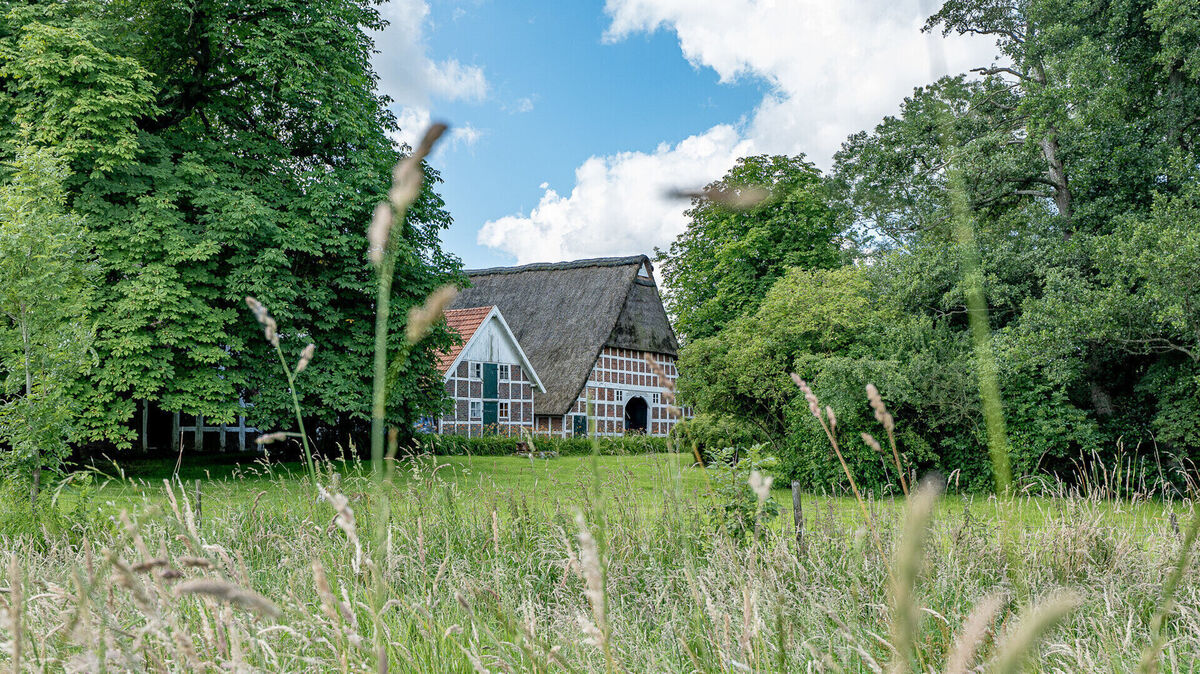Für Lilo Wanders war das 1784 erbaute Reetdachhaus in Großenwörden viele Jahre lang eine Oase der Ruhe. Doch nun will sie es verkaufen. Foto: Immobilien-Vermittlung Mandy Brockelmann
