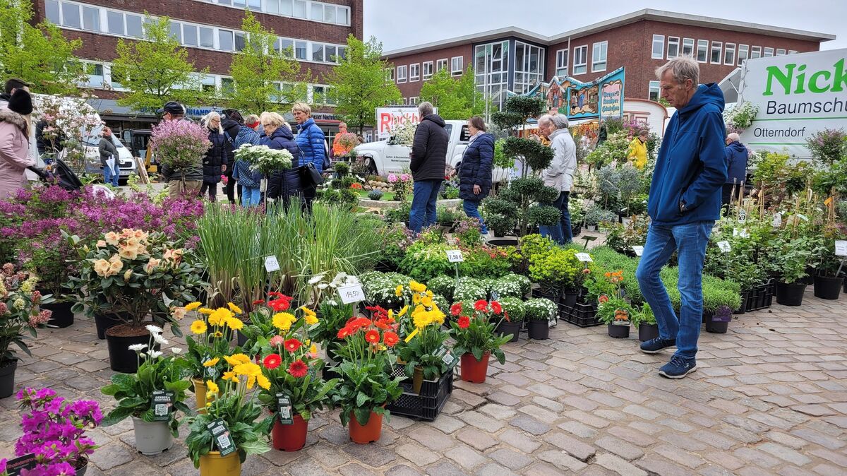 Der Blumenmarkt wurde am Sonntag zu einem wahren Frühlingsfest für alle Sinne. Schon am Vormittag strömten zahlreiche Gartenfreunde aus der gesamten Region in die Cuxhavener Innenstadt. Foto: Mangels