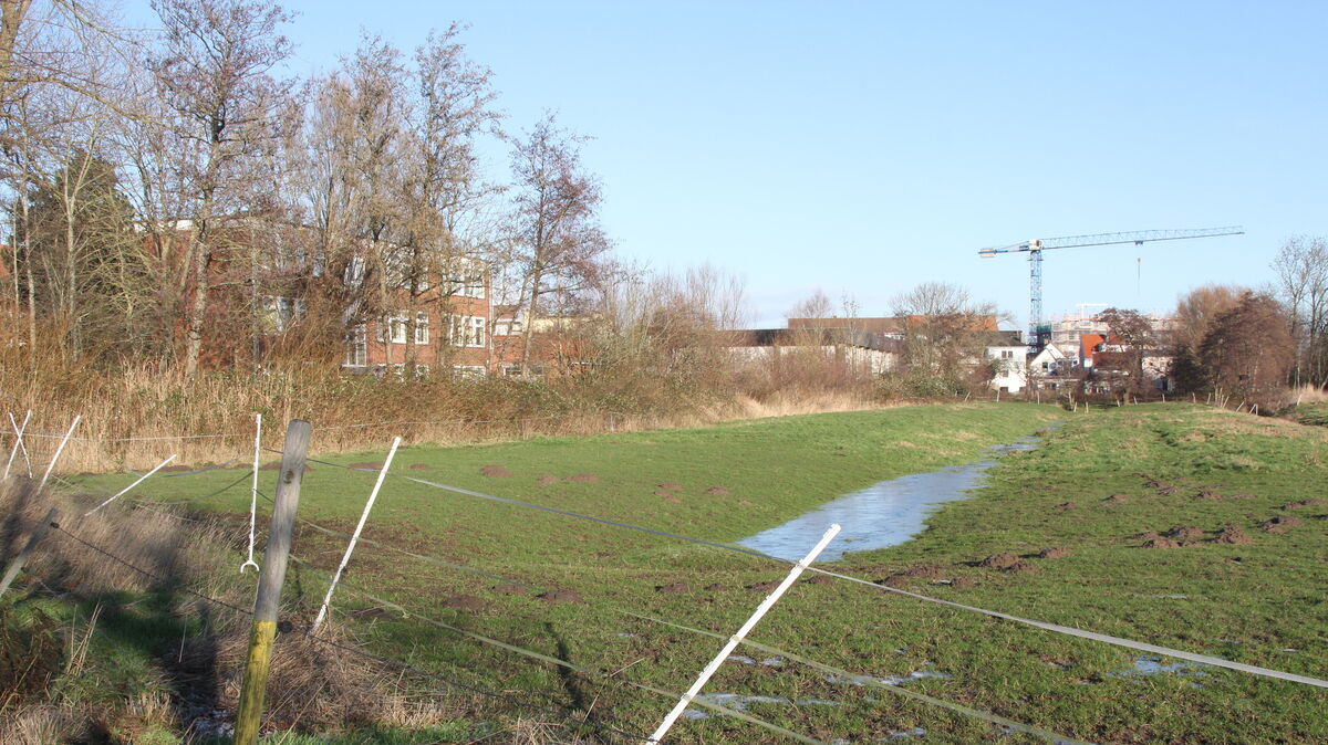 Schulbau, Wohnen und Einkaufen soll auf dem Grundstück, durch welches sich die Querspange zieht, stattfinden. Foto: Reese-Winne