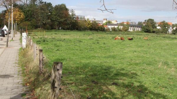 Verkehrslösung für Döse polarisiert zwischen den Partnern