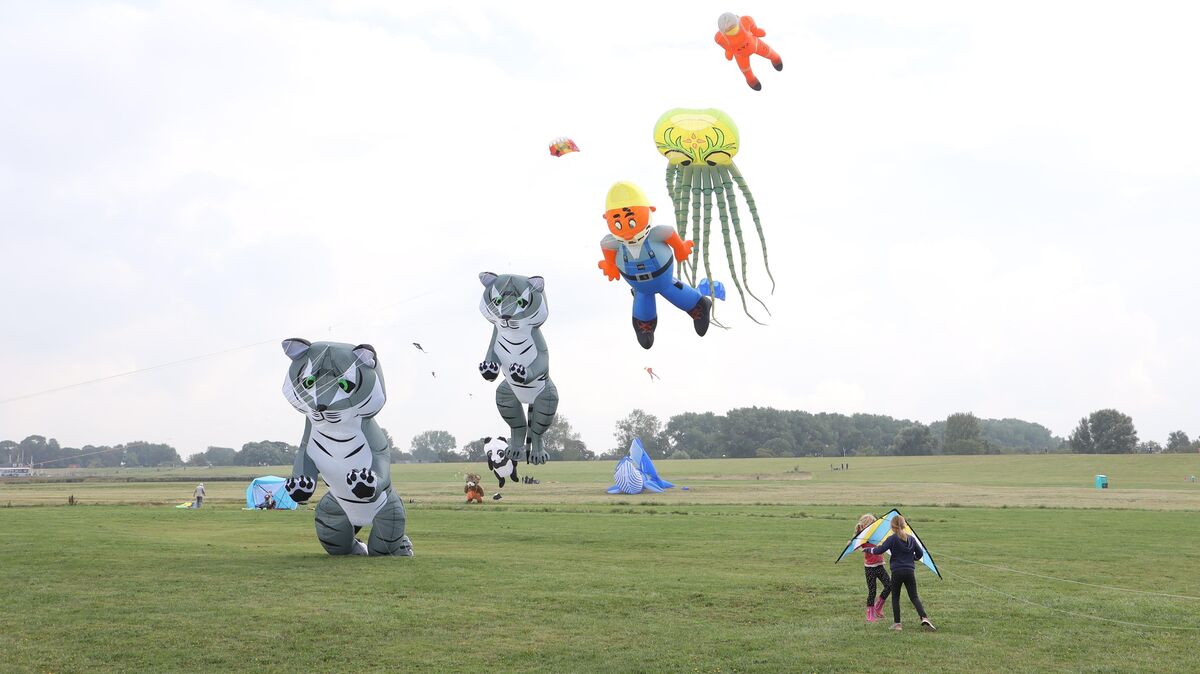 Der grüne Oktopus ist 30 Meter lang. Foto: Fischer