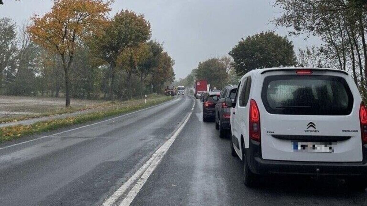 Zwischen dem Cuxhavener Kreisel und Altenbruch wird der Asphalt ausgebessert – der Verkehr wird per Ampel geregelt. Foto: Kramp