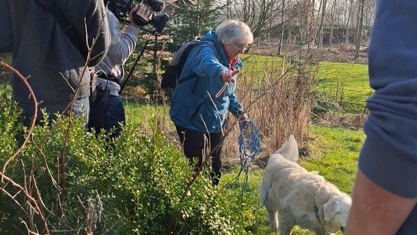 Bundesweit einzigartig: Igelhilfe Cuxhaven bildet Hund & Halter zu Igel-Spürteams aus