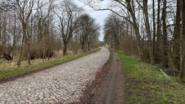 Hafenzubringer in Cuxhaven: Altenbruch fürchtet um wichtige Verkehrsverbindung
