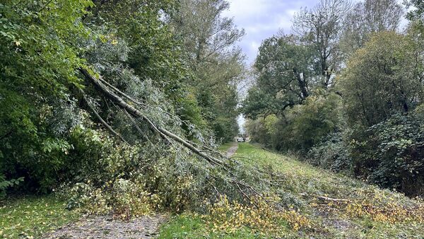 Cuxhaven: Pro und Contra zum geplanten Regenrückhaltebecken in Groden-Arnhausen