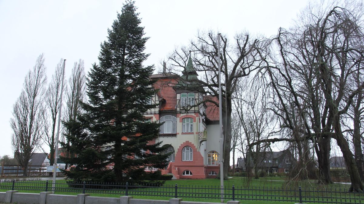 Mit über zehn Metern ist die Nordmanntanne inzwischen fast so hoch wie die Villa Gehben selbst. Jetzt soll sie gefällt werden. Die Villa Gehben ohne Nordmanntanne - für viele Cuxhavener unvorstellbar. Foto: Sassen