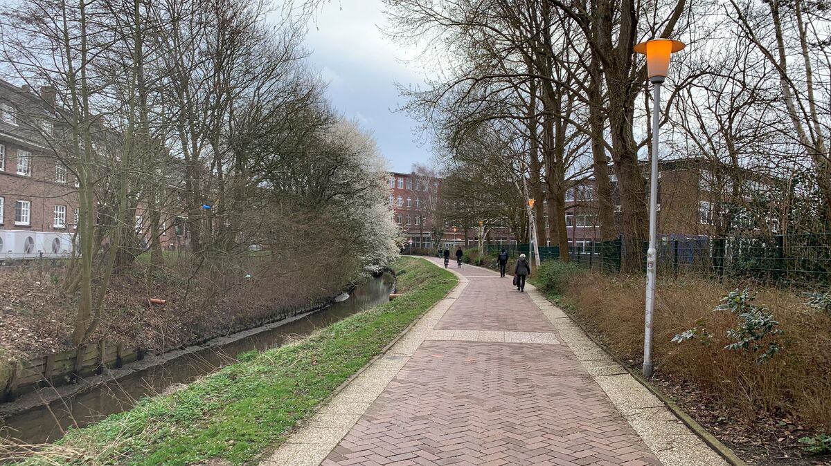 Am helllichten Tag leuchten die Laternen im Claus-Oellerich-Weg. Foto: Kuczorra