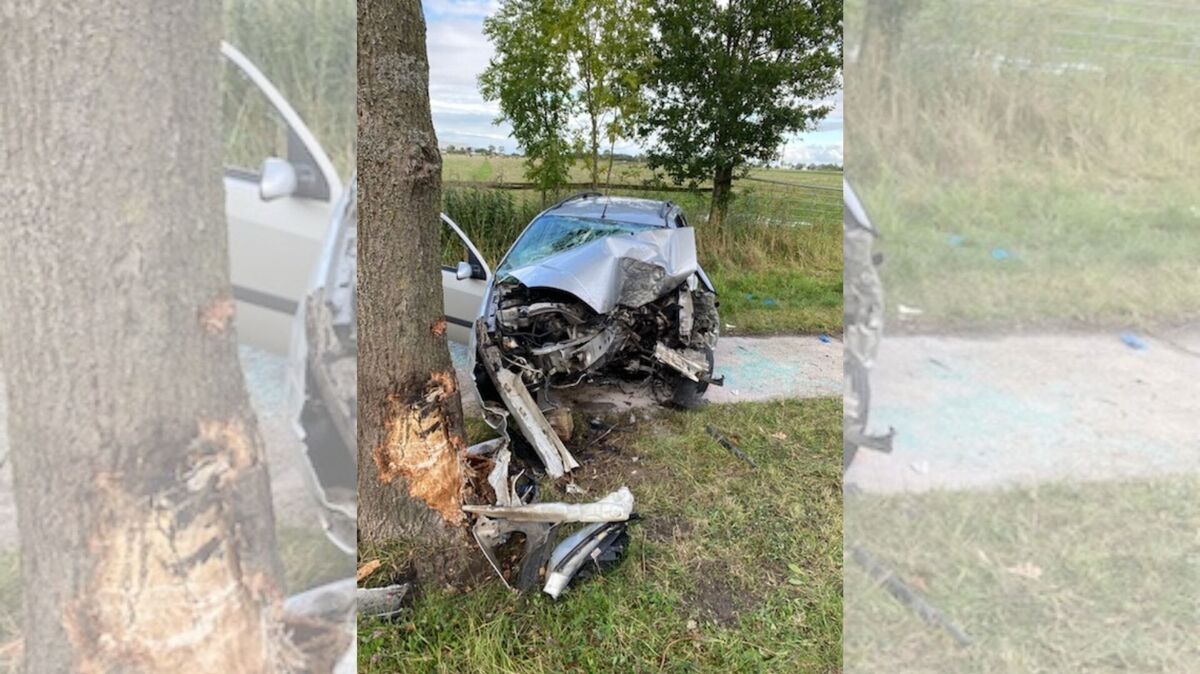 Auf der Heerstraße kommt das Auto von der Fahrbahn ab. Foto: Polizei