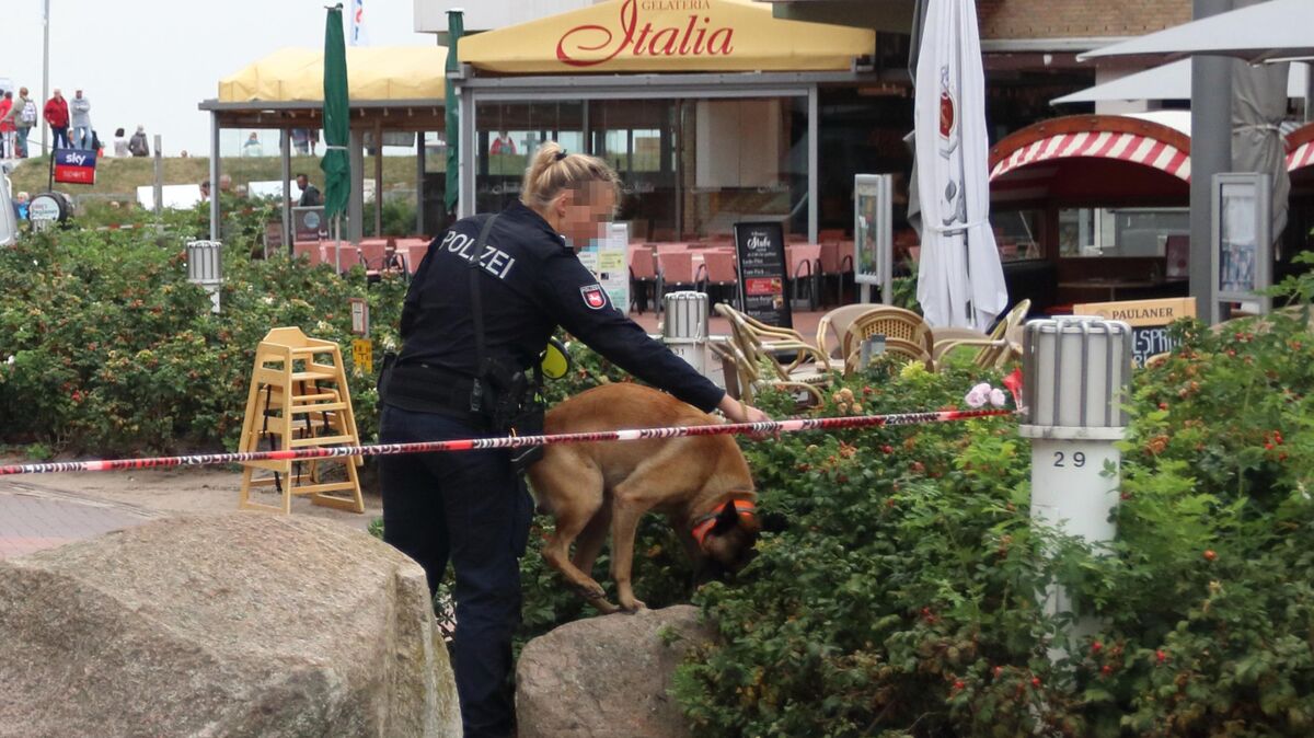 Mit einem Suchhund durchkämmt eine Beamtin die bepflanzten Bereiche an den Rändern der Fußgängerzone. Foto: Koppe