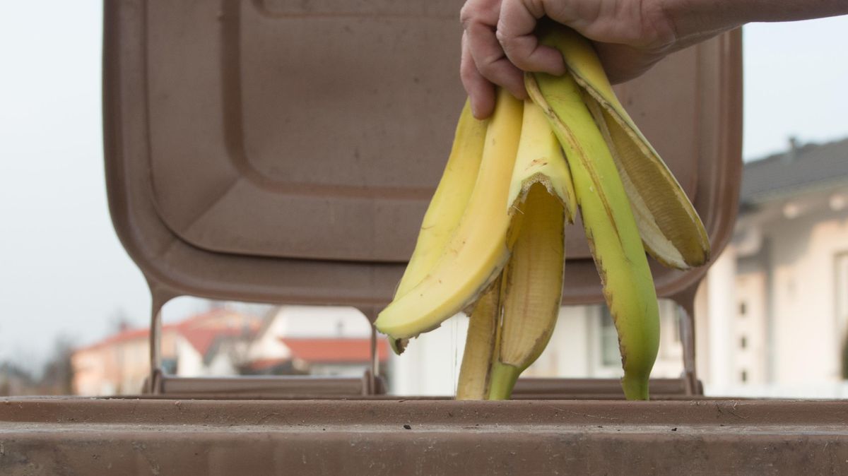 Die Bio-Tonne kommt. Die neu gegründete kommunale Entsorgungsanstalt Nord-Niedersachen (KENN) soll als Betreiberin der neuen Vergärungsanlage einsteigen. Foto: Weigel/dpa