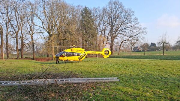 Schwerer Unfall bei Sägearbeiten in Oberndorf: Mann stürzt aus fünf Metern Höhe