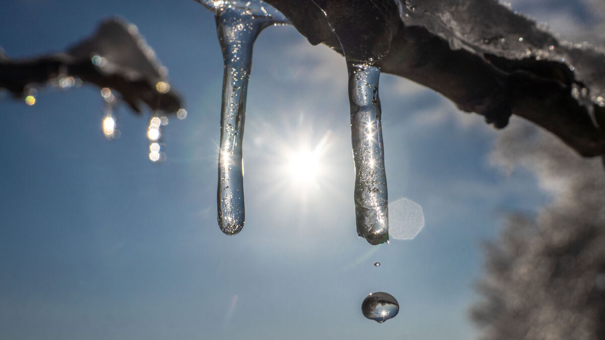 Tauwetter im Kreis Cuxhaven: Die mildere Luft lässt Eiszapfen schmelzen. Foto: Frank Rumpenhorst