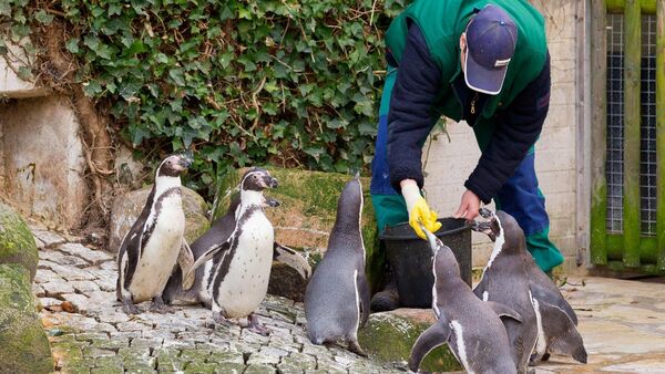 Tierhaltung im Kurpark Döse: Nordseeheilbad Cuxhaven GmbH nimmt ausführlich Stellung