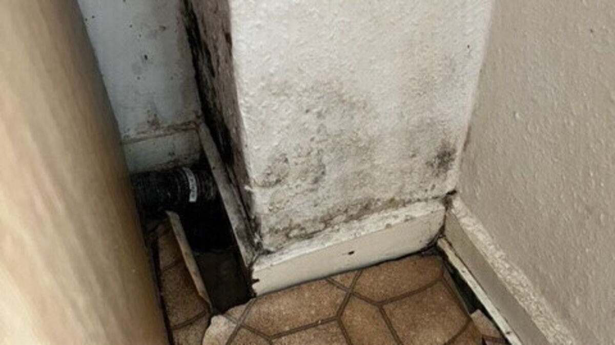 Wieviel Schimmel noch tolerierbar ist und wann es sich formal um einen Missstand handelt, muss die Baubehörde klären. Foto: privat