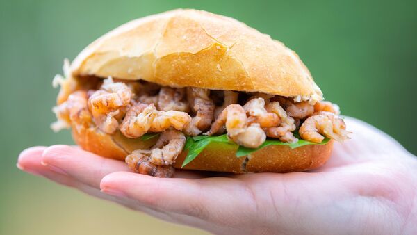 Hier gibt es in Cuxhaven und umzu die besten Krabbenbrötchen: Der große CN/NEZ-Test