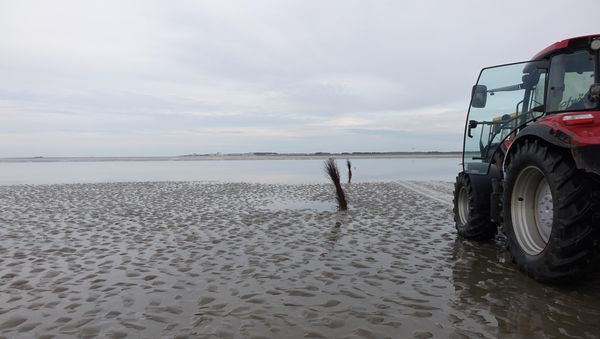 Neuer Weg von Cuxhaven nach Neuwerk: Insulaner enttäuscht