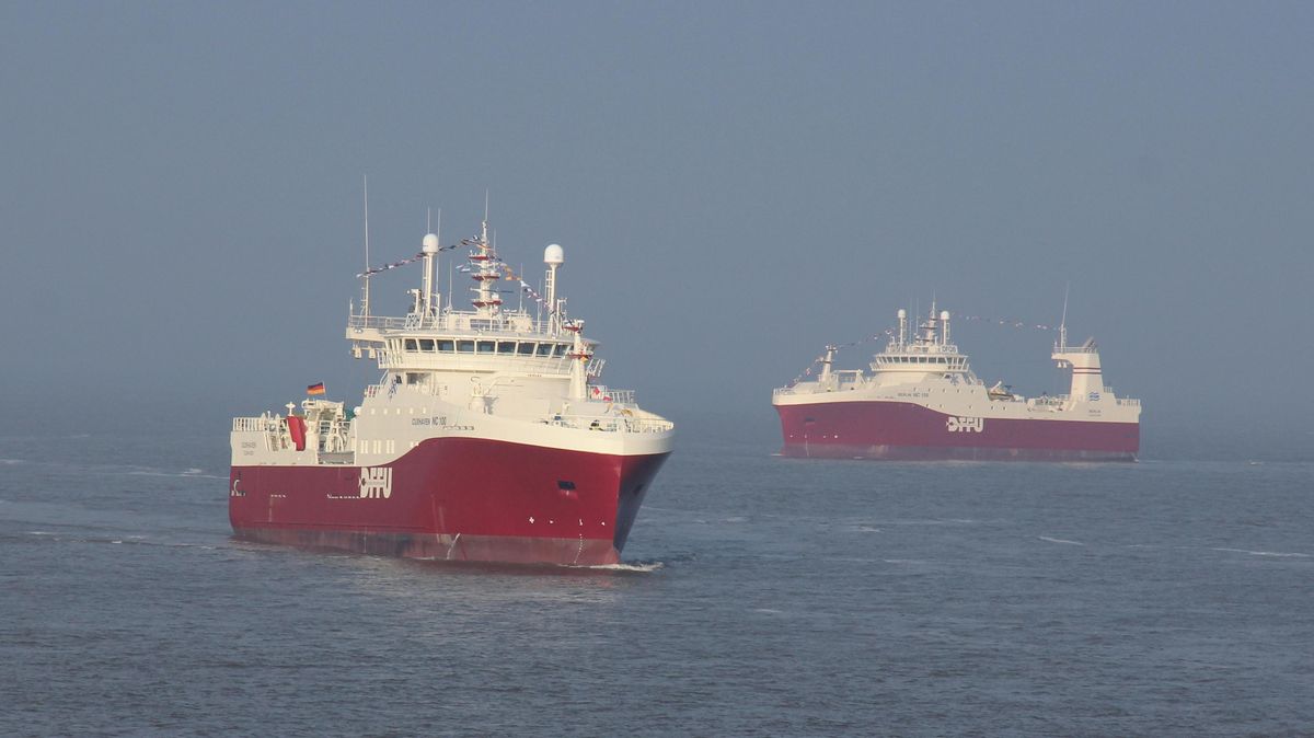 Um nicht in Konflikt mit den Norwegern zu geraten, hat die DFFU ihre beiden Flaggschiffe "Berlin" und "Cuxhaven" derzeit unter Ostgrönland im Einsatz. Die Cuxhaven fischt dort Kabeljau (Frischfisch), die "Berlin" Schwarzen Heilbutt und Rotbarsch und verarbeitet beides vor Ort zu Frostware. Foto: Sassen