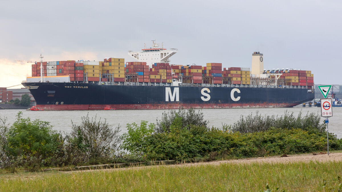 Das Containerschiff "MSC Regulus" liegt auf der Elbe in Höhe von Finkenwerder. Das 366 Meter lange Schiff hat wegen eines Maschinenschadens mit Hilfe von Schleppern in Finkenwerder festgemacht. Zuvor lag es wegen einer Überhitzung des Motors vor Glückstadt auf der Elbe und sei deswegen manövrierunfähig gewesen. Foto: picture alliance/dpa | Bodo Marks