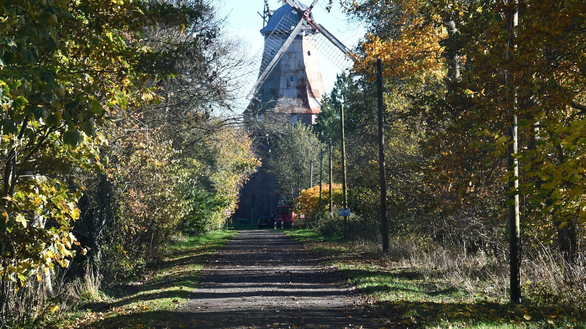 Sieht auf den ersten Blick toll aus, aber ist ein Sanierungsfall: die Mühle in Hechthausen. Die Straße zum historischen Bauwerk möchte die Gemeinde gerne sanieren. Die Mühle befindet sich im Privateigentum. Foto: Schröder