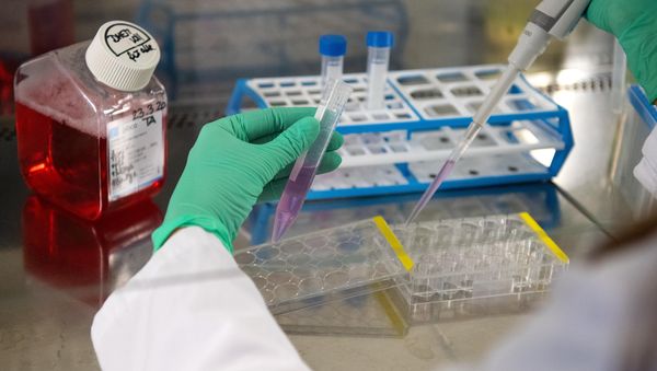 Pharma-Unternehmen Vibalogics investiert 41 Millionen Euro in Cuxhaven