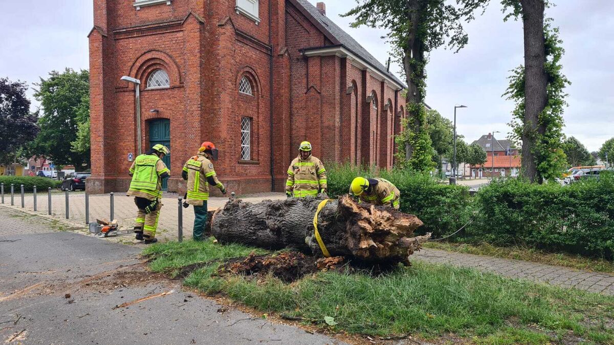 Sturm "Poly" entwurzelt einen Baum neben der Martinskirche in Cuxhaven. Foto: Fischer