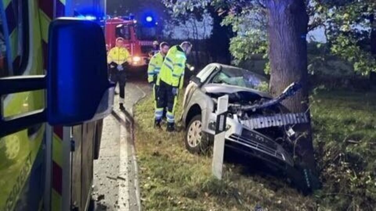 Das Auto prallt neben der Straßen gegen einen massiven Baum. Foto: Polizei